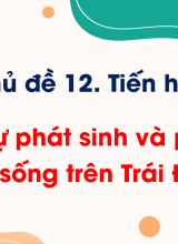 Bài 44. Sự phát sinh và phát triển sự sống trên Trái Đất